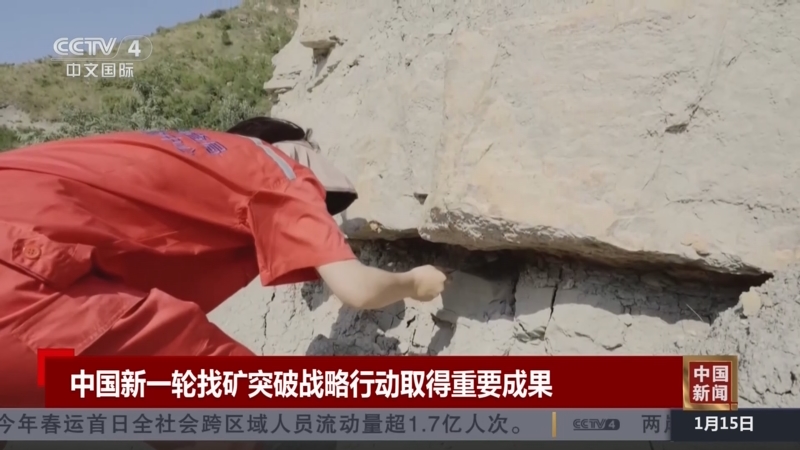 的处罚结果