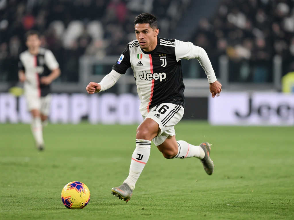 能完全代表 能完全代表